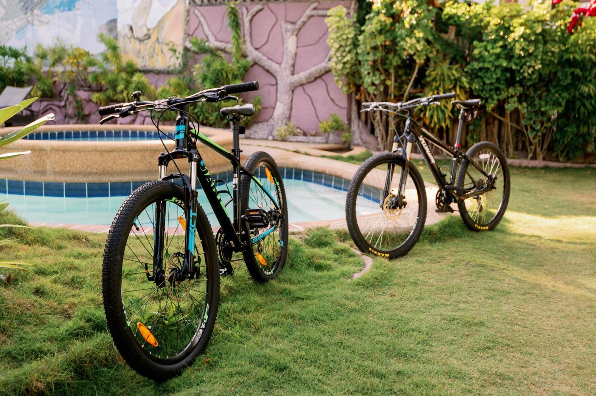 Polaris And Dive Inc Loon